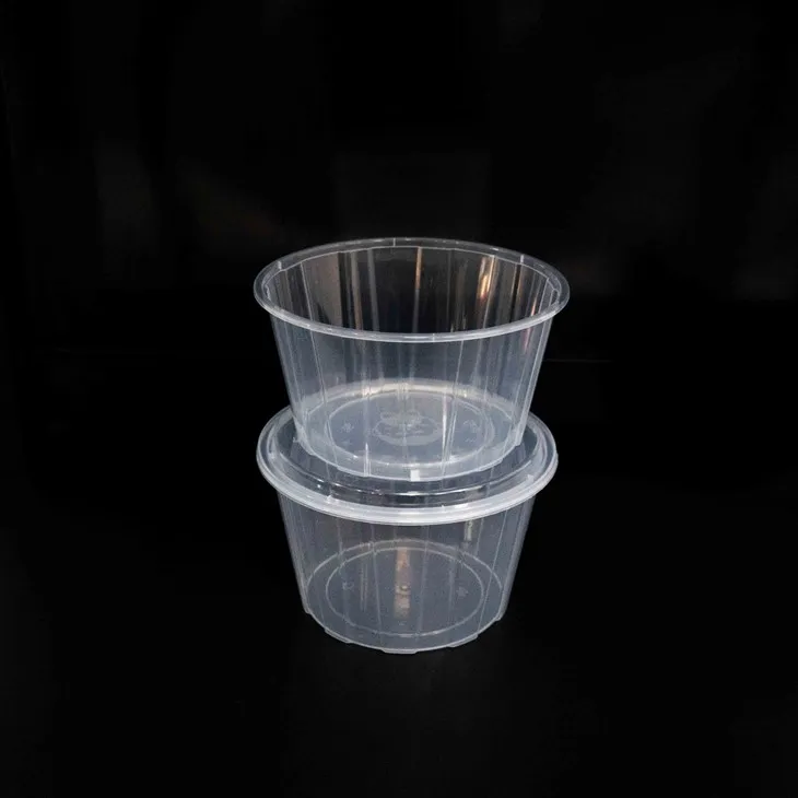 Microwave-Safe Plastic Bowls - Ready for Quick Reheating (6)