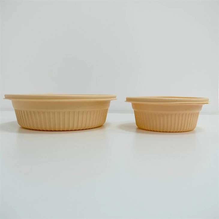 Sustainable and Biodegradable Bowls - Ideal for Food Service (6)
